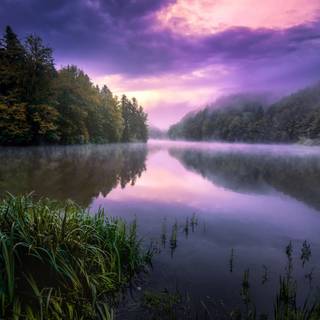 Summer night desktop wallpaper