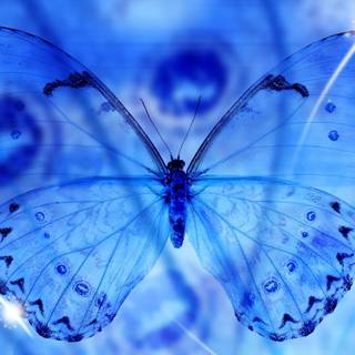 Blue drawing wallpaper