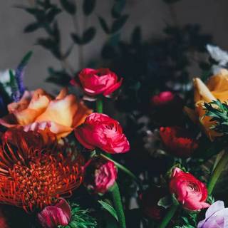 Springs 4k iPhone wallpaper