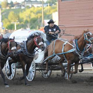 Chuckwagon racing wallpaper