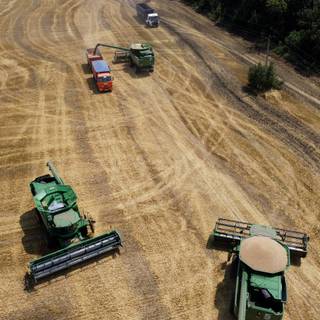 Global food prices wallpaper