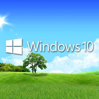 Windows XP spring wallpaper