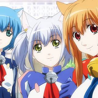 Asobi Ni Iku Yo wallpaper