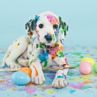 Spring Easter puppies wallpaper