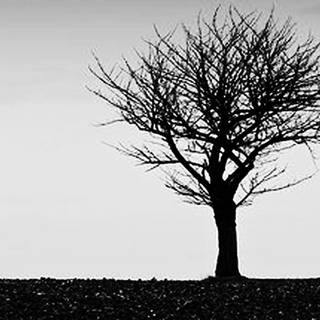 Existential wallpaper