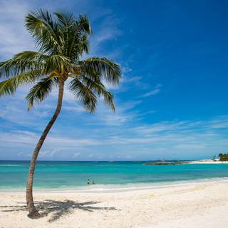 Saint Martin wallpaper