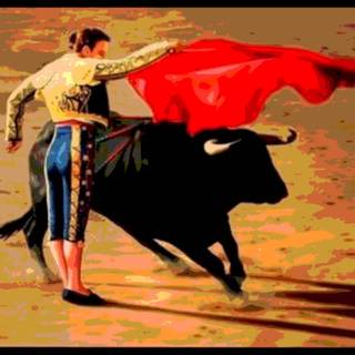 Bullfighter wallpaper