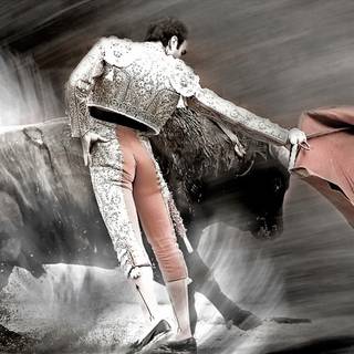 Bullfighter wallpaper