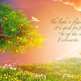 Spring inspiring wallpaper