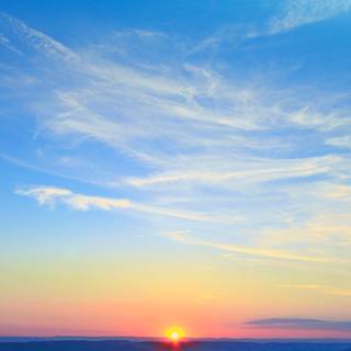 Nature summer iPhone wallpaper