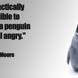 Funny penguin wallpaper