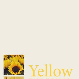 Colors aesthetic wallpaper