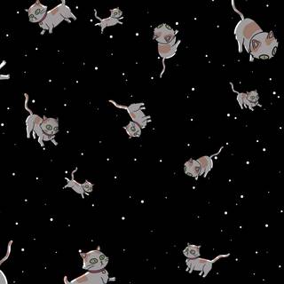 Astronaut cat wallpaper