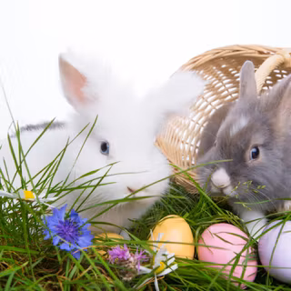 Cute Easter computer wallpaper