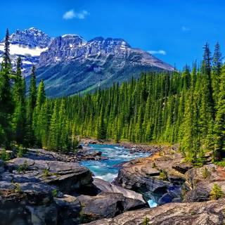 Mountain stream wallpaper