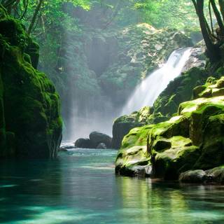 Mountain stream wallpaper