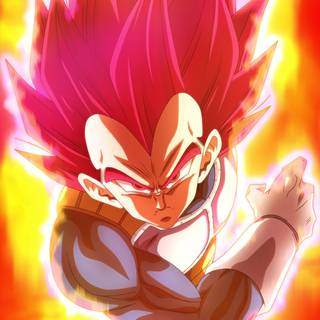 Vegeta SSJ God wallpaper