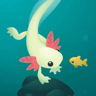 Kawaii axolotls wallpaper