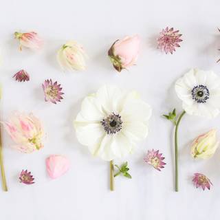 Laptop spring aesthetic wallpaper