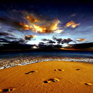 Foot prints wallpaper