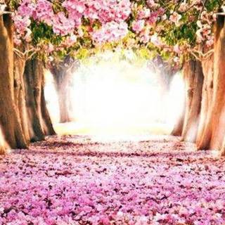 Pixel spring wallpaper