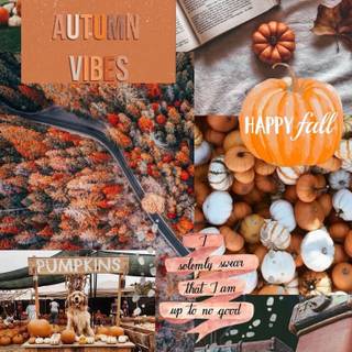 Autumn season 2022 wallpaper