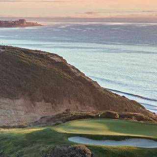 Torrey Pines wallpaper