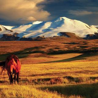 Ulaanbaatar wallpaper