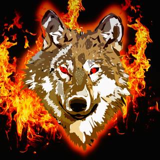 Orange wolf wallpaper