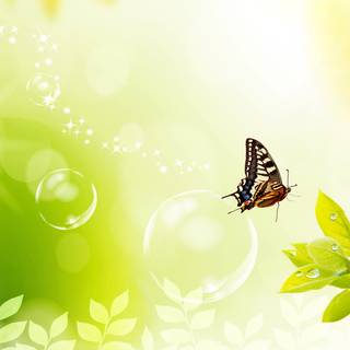 Spring design wallpaper