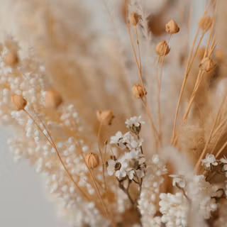 Dry flower wallpaper