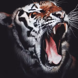 Animal iPhone wallpaper