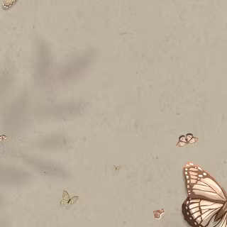 Butterfly for phone wallpaper