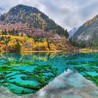 World Heritage wallpaper