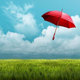 Life insurance wallpaper