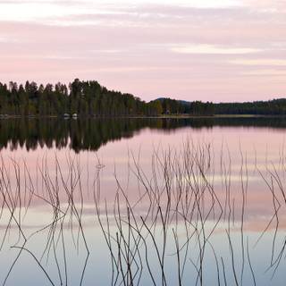 Quiet lake wallpaper