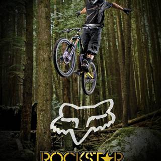Fox MTB wallpaper