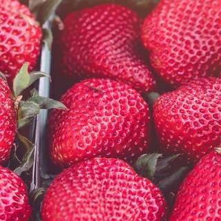 Spring strawberry wallpaper