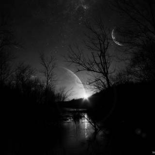 Black fantasy wallpaper