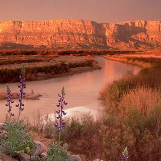 West Texas wallpaper