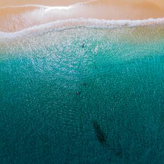 Aerial summer wallpaper