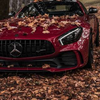 Red Mercedes wallpaper