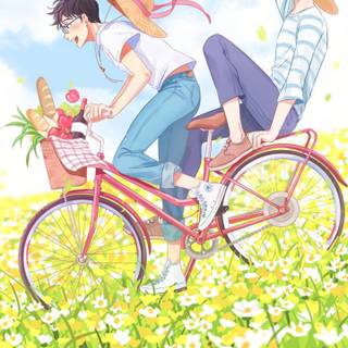 Bicycle summer wallpaper