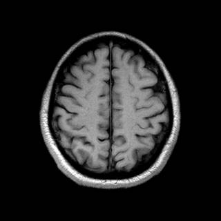 Brain Out: Can you pass it? wallpaper