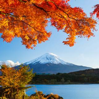 Desktop HD Japanese wallpaper