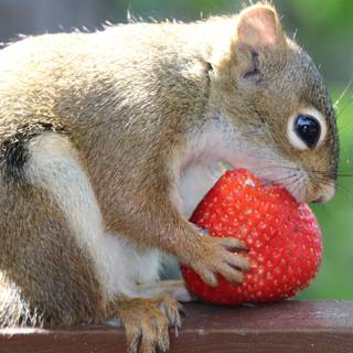 Strawberry PC aesthetic wallpaper