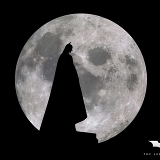 Batman black and white wallpaper