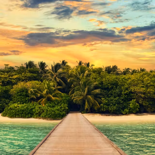 1080x1920 summer wallpaper