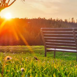 1080x1920 summer wallpaper