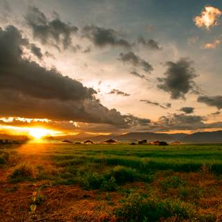 Farm landscape wallpaper